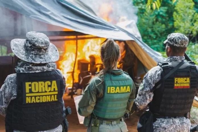 Operação iniciada em maio reúne órgãos federais em cumprimento a decisão do STF - Thiago Dias/Secom-PR